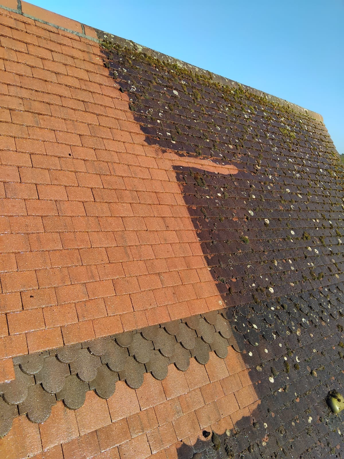 Heavy moss and lichen removed with soft-wash treatment