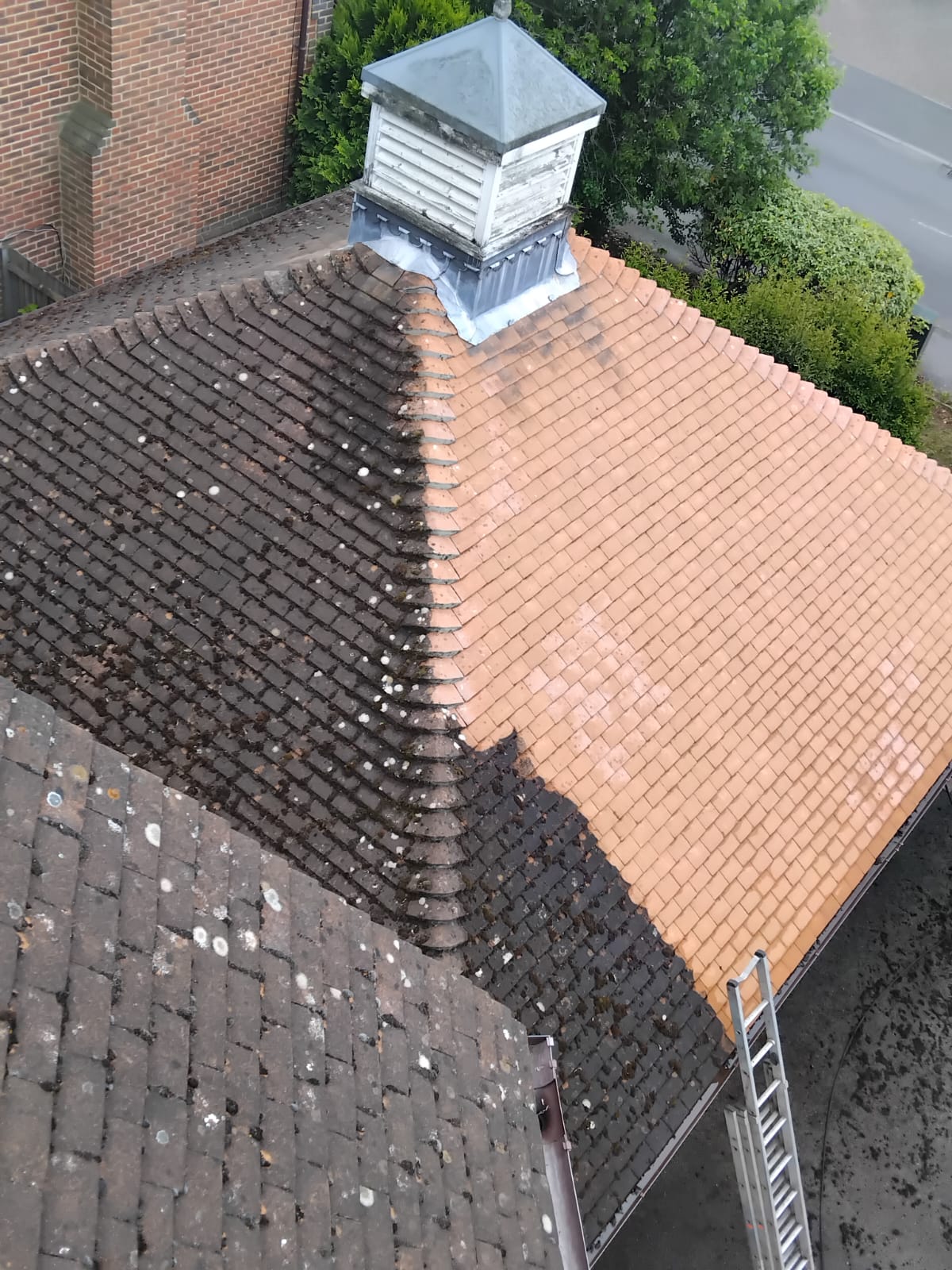 Full roof restoration — tiles brought back to original colour