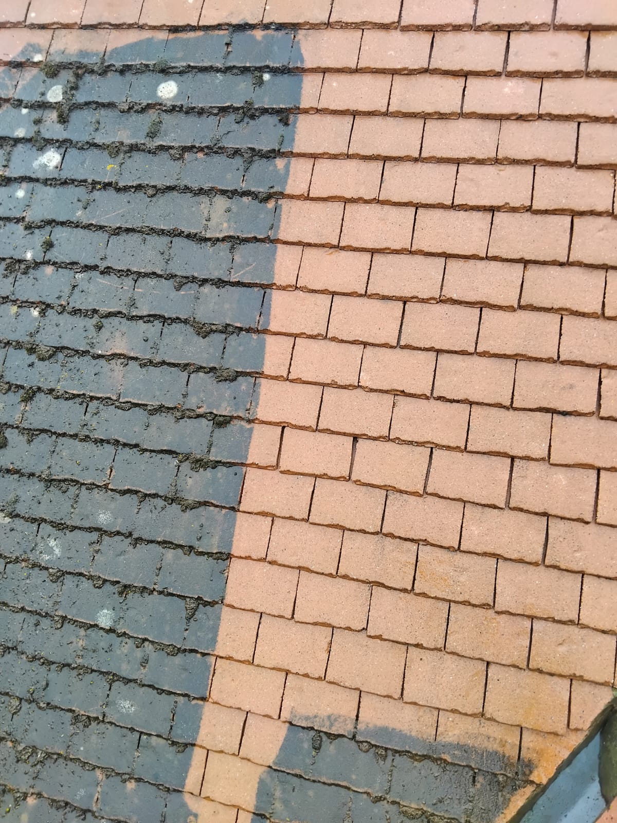 Close-up of soft-wash results on clay tiles