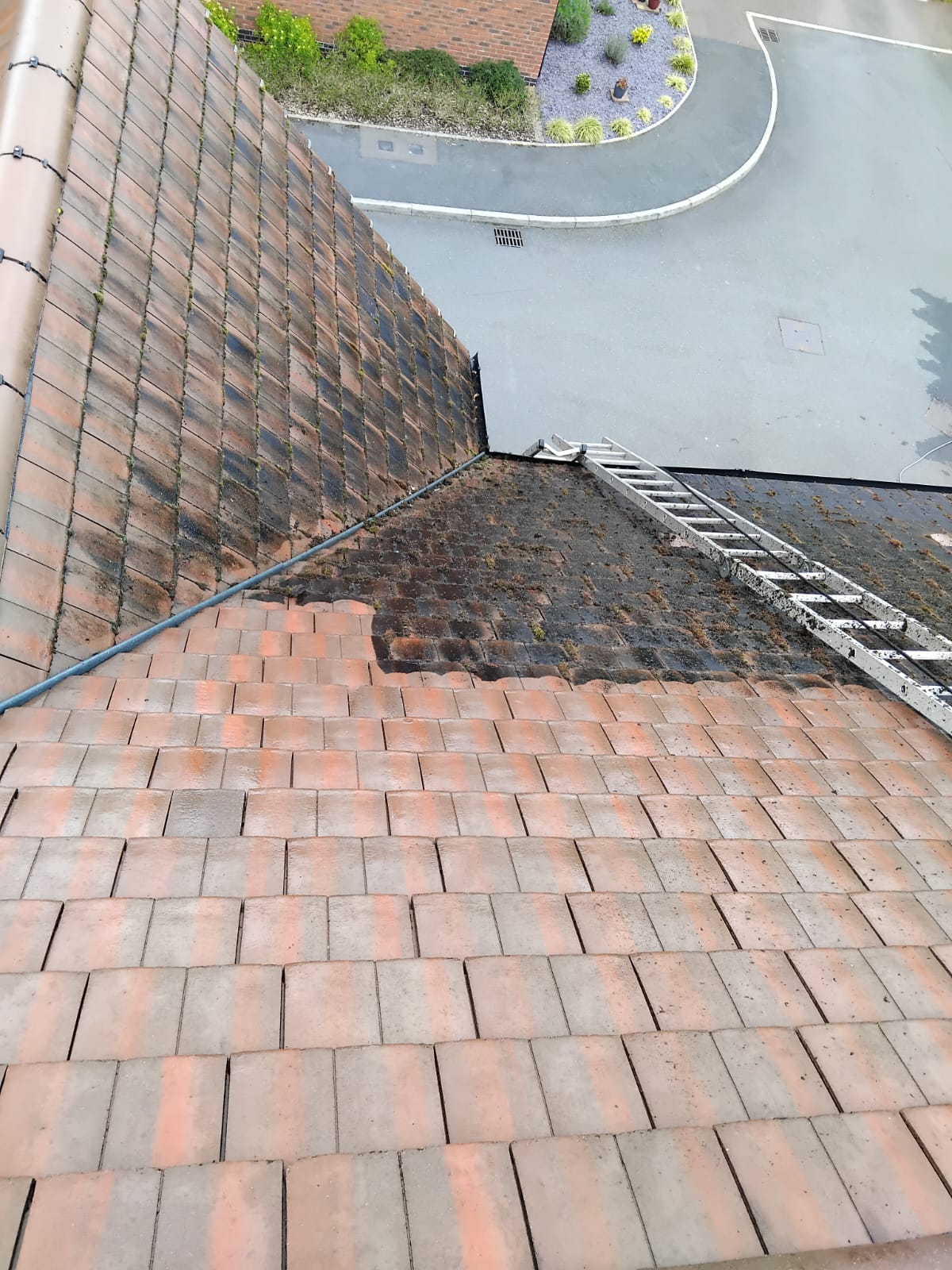 Steam-cleaned roof in Co. Meath — moss and algae lifted