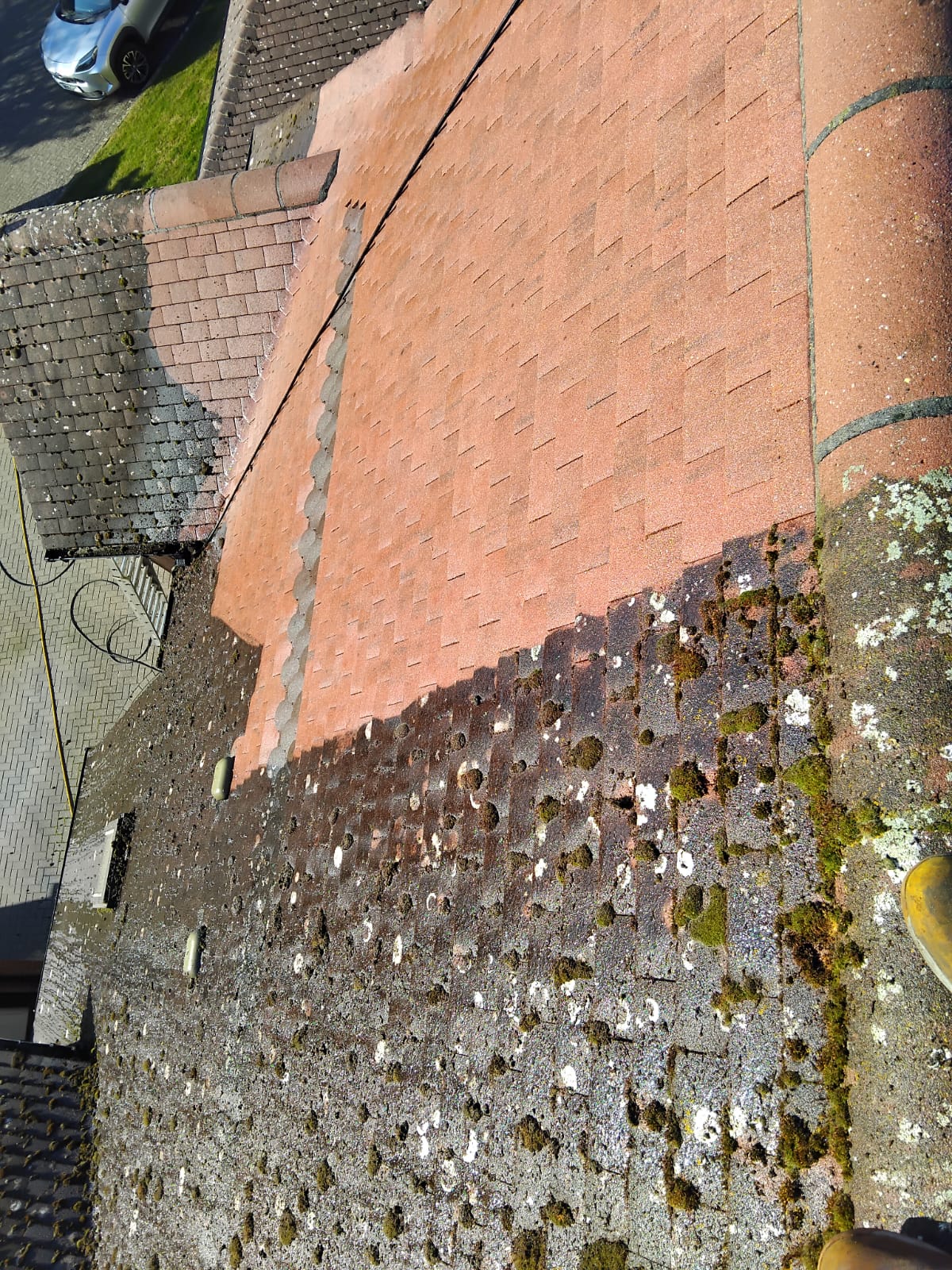 Roof Cleaning